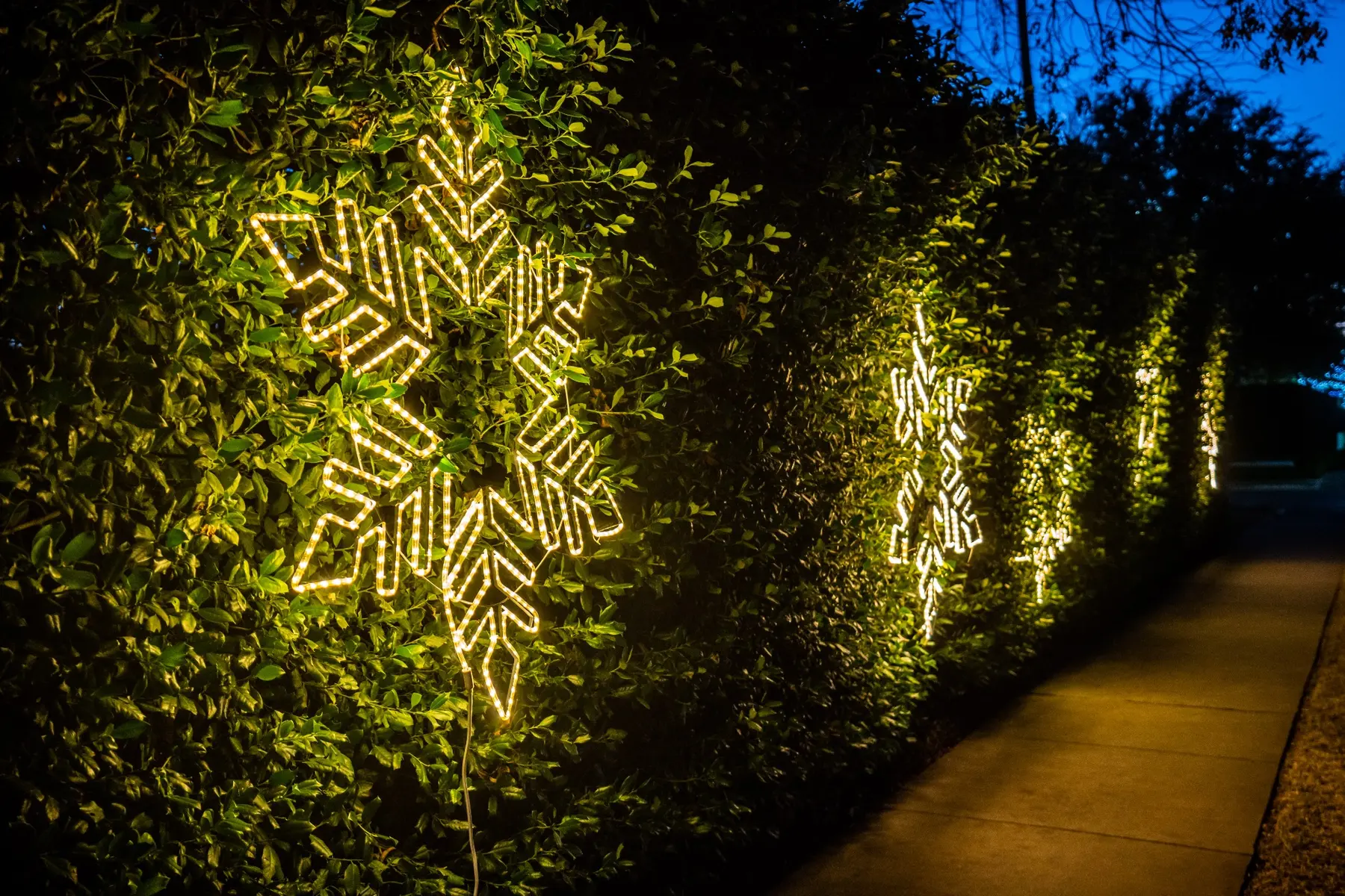 Large illuminated snowflake decorations lining a landscaped walkway at night