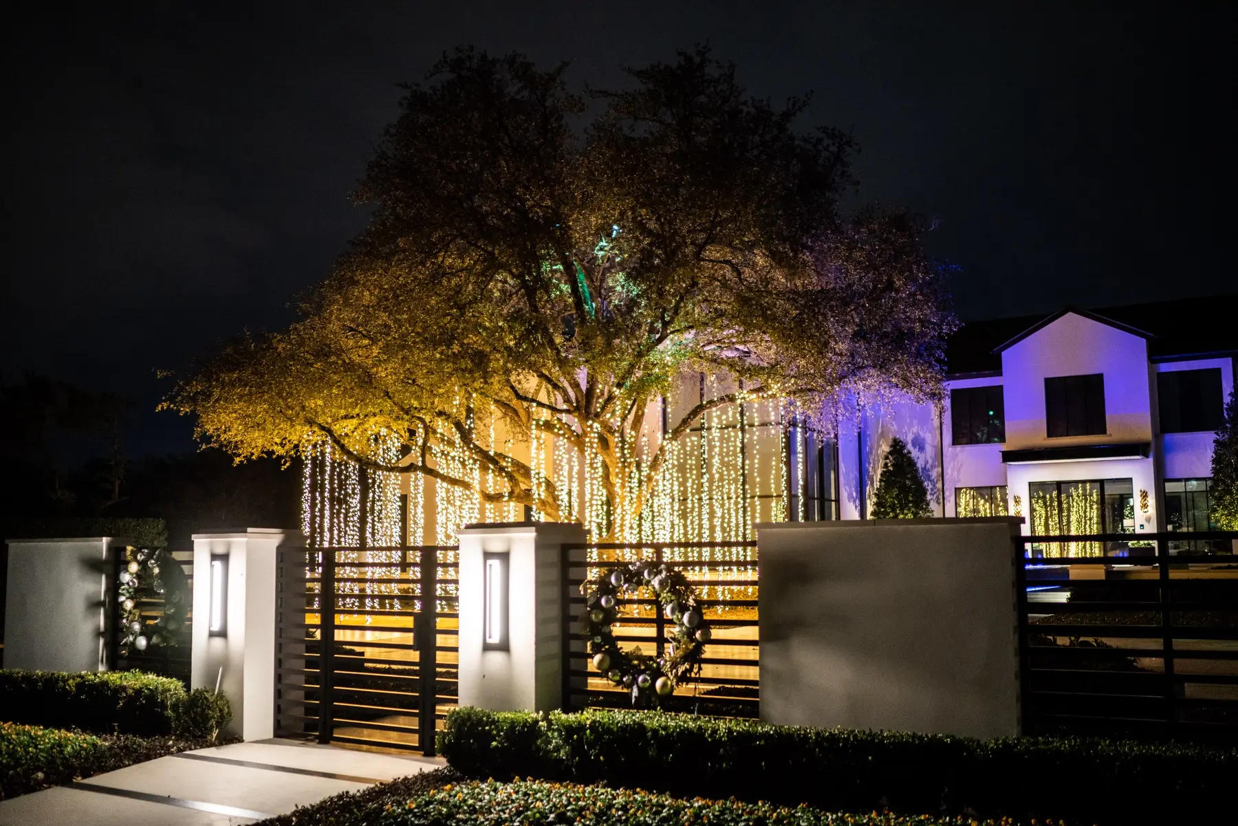 Modern residence with purple and white holiday lighting across trees and architectural features