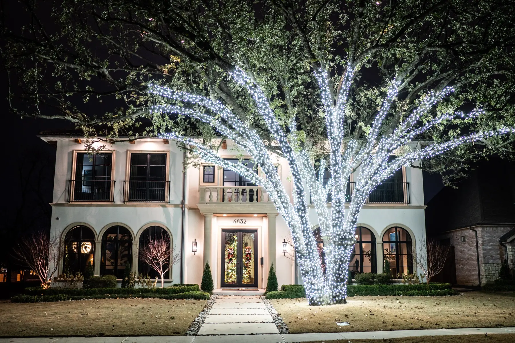 Large mature oak wrapped densely in cool white Christmas lights in front of a home