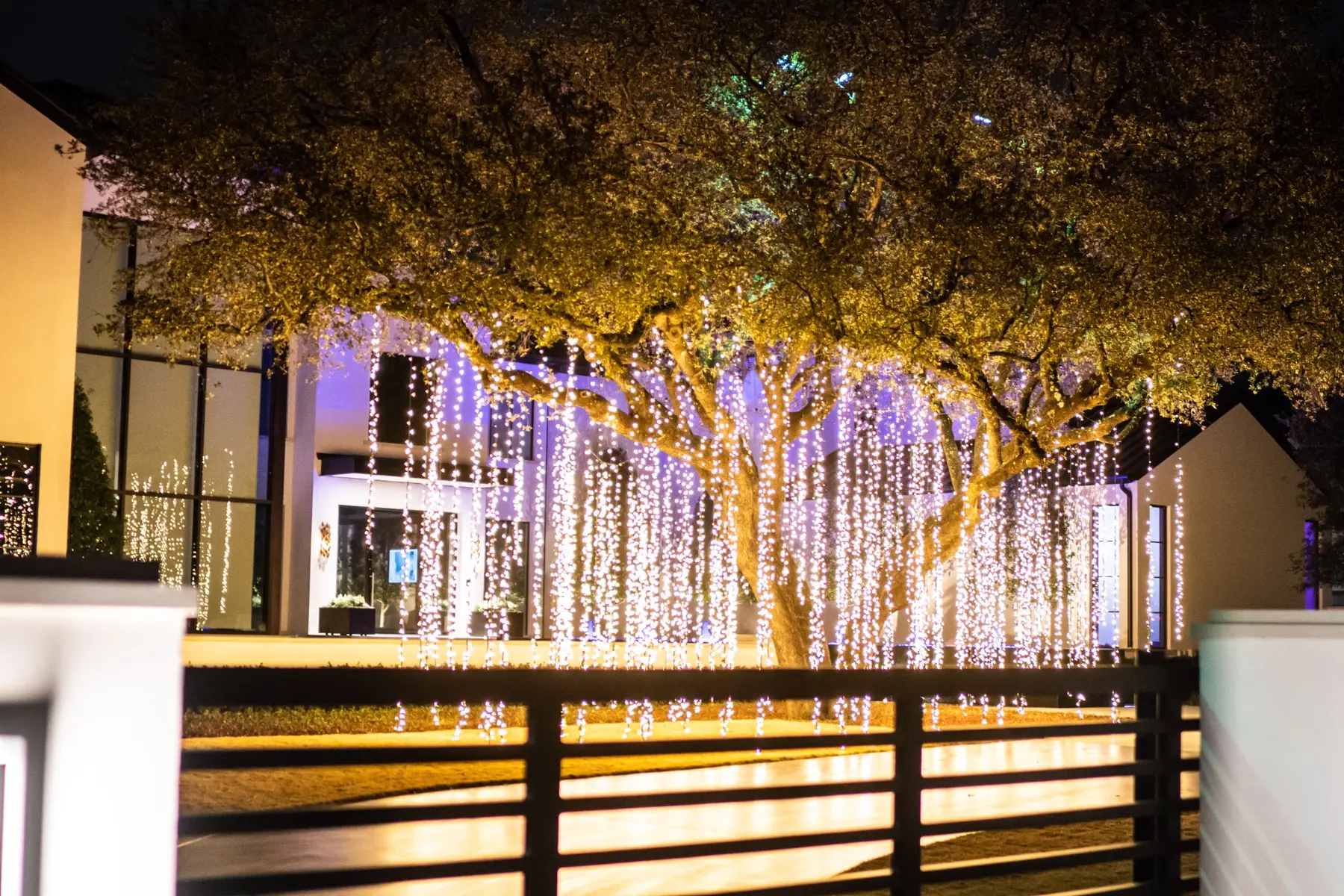Cascading white and violet holiday lights across a modern residential landscape